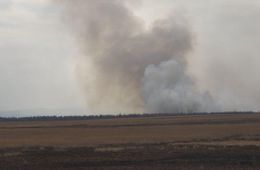 ​Более 50 человек тушат лесной пожар около Беклимишево
