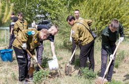 50 кустов сирени и яблони высадили в Чите в честь 50-летия БАМа 