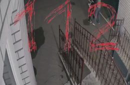 Видео убийства женщины в Царском попало на камеры (18+)