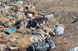 Где-то между Кией и Нерчой. Часть первая.