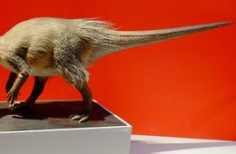 На месте обнаружения нового динозавра в Забайкалье создан стационар