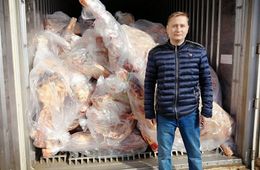 ​Падеж Забайкалья: Животноводы бойкотируют голосование по Конституции из-за ящурной резервации