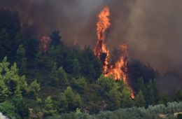 Двое жителей Акшинского района обвиняются в поджоге 520 гектаров леса 