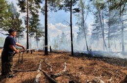 В Забайкалье действуют шесть лесных пожаров
