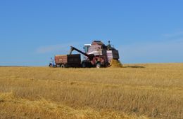 Забайкальские аграрии получили на 10 тысяч тонн зерна больше, чем год назад