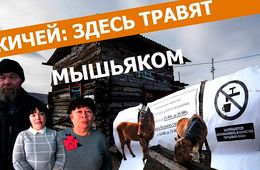 Вечорка ТВ: ЧИКИЧЕЙ: ЗДЕСЬ ТРАВЯТ МЫШЬЯКОМ