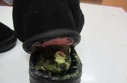 На лабутенах-ах: Наркотики пытались передать в каблуке ботинка в ИК-5 в Антипихе