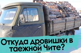Жителям Сивяково не выписывают лесобилет на вырубку дров