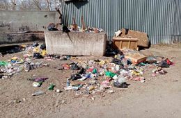 Жители утопающей в мусоре Ясной сняли видео о провальной работе «Олерон+»