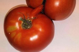 Такие внезапные, такие противоречивые: цены на помидоры, огурцы и некоторые продукты питания в Забайкалье нестабильны