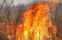 В Забайкалье прокуратура требует взыскать с «Трансэнерго» затраты на тушение пожара