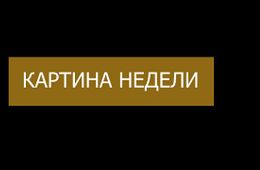 Вечорка ТВ: Картина недели глазами «Вечорки» | Пожары, Пасха, Выстрел  