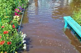 Тонем! И так из года в год.