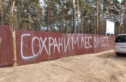 Защитите лес от чиновников!