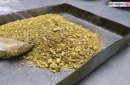 10 кг золота намывают в артели в Забайкалье за 2-3 дня