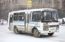 Про почту, туалет и автобусы