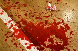 Подробности стрельбы в Жидке: Убиты женщина, ее 18-летний брат и любовник