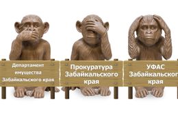 УФАС, прокуратура, департамент имущества — где скрывается их совесть?
