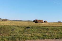Дальневосточный гектар. Кому он нужен в Забайкалье?