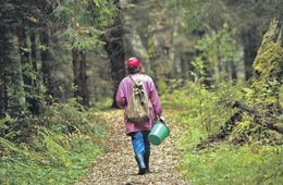 50-летняя женщина заблудилась в лесу под Читой