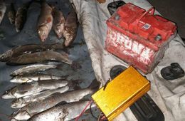 Двум забайкальцам грозит срок за рыбалку электроудочкой