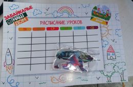​Сувениры с символикой «Единой России» раздают в читинской школе