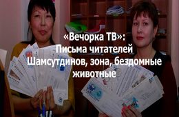 Вечорка ТВ: Письма читателей - Шамсутдинов, зона, бездомные животные