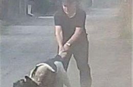 Собаки добрее людей