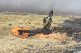 Лесных пожаров нет, но сухая трава в Забайкалье горит — пожарные шесть раз выезжали на вызовы