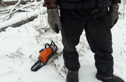 Забайкалец под видом валежника незаконно срубил деревья