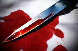 В селе Черемхово Улетовского района убили женщину и ее двух малолетних детей