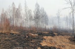 Из-за бездействия людей, лесной пожар в одном из районов Забайкалья разросся в 380 раз 
