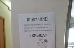 Одного из работников детсада в Ясногорске назвали «Крысой из «Вечорки» после публикации о протекающей крыше 