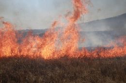 Противопожарный режим ЧС начал действовать в Забайкалье
