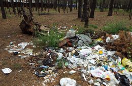 АТАМАНОВКА: КОГДА В ЛЕСУ МУСОРА БОЛЬШЕ, ЧЕМ ДЕРЕВЬЕВ