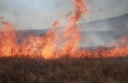​Забайкалье продолжает гореть