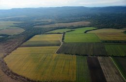 В Минвостокразвития хотят изменить закон о «дальневосточном гектаре»