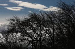 ​МЧС предупредило о сильном ветре и заморозках в Забайкалье