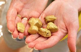 Забайкалец незаконно добывал золото на лесном участке