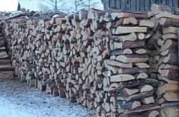 Заксобрание отклонило законопроект Минприроды о снижении нормы заготовки дров