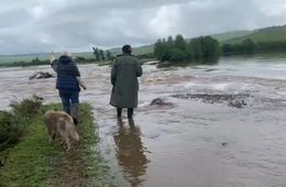 Пенсионерка скитается после паводка