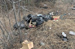 ​Читинец заснял грузовик, сваливший мусор в лесу