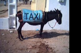 Зеленоглазое такси: Водитель таксомотора продал забытый пассажиром «Айфон» незнакомцу за тысячу рублей