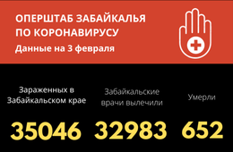 Больше 35 тысяч забайкальцев заразились коронавирусом с начала пандемии