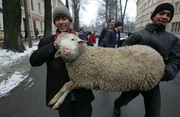 Забайкальские полицейские переговорили с иностранными студентами