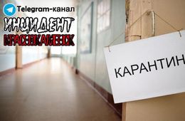 Краснокаменская школа закрылась на карантин из-за коронавируса