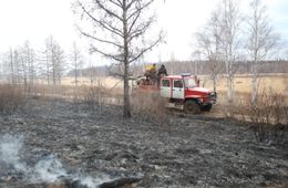 ​Площадь пожара в «Цасучейском бору» из-за ветра за полдня выросла с 730 до 1090 гектаров