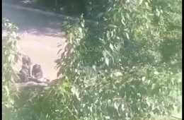 Труп женщины обнаружили возле дома в центре Читы