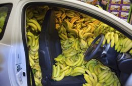 Мартышкам на радость: в Забайкалье дешевеют бананы