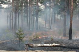 В Забайкалье горит лес в 13 местах